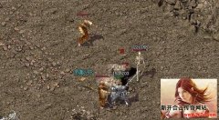 新开传奇sf中三职业不同的开荒方式