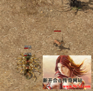 英雄合击传奇这几只怪相貌平平 但它们比BOSS还要