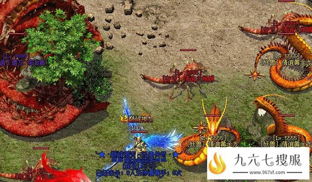 精英怪物的爆率怎么样？