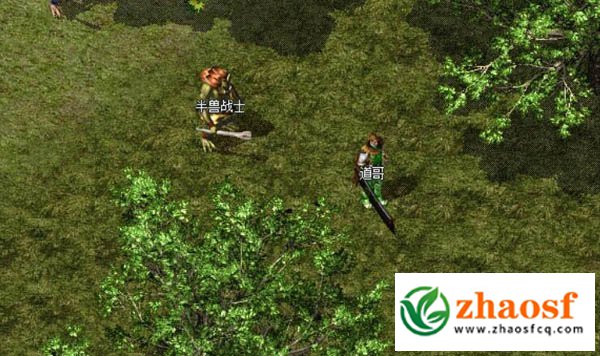 比奇城野外为何《半兽人》会成为常客？