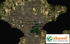 传奇中哪种怪物攻击带麻痹效果？