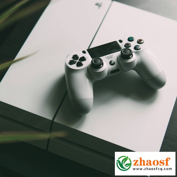 生化危机9:安魂曲